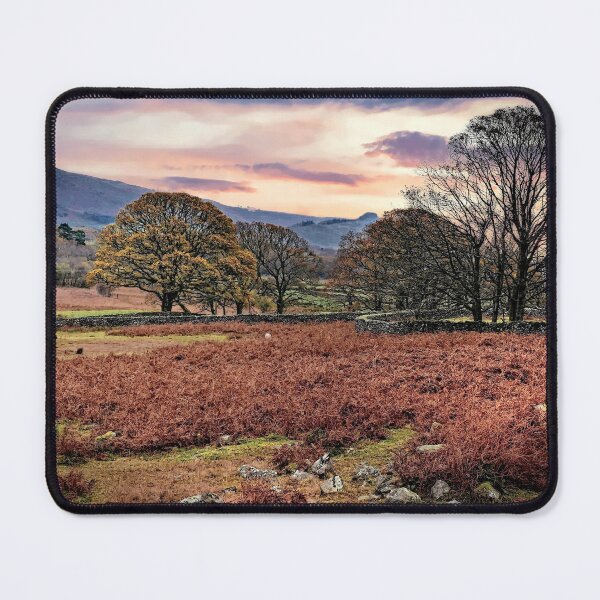 Item preview, Autumn Bracken in Wasdale Valley designed and sold by RosRidleyPhoto.