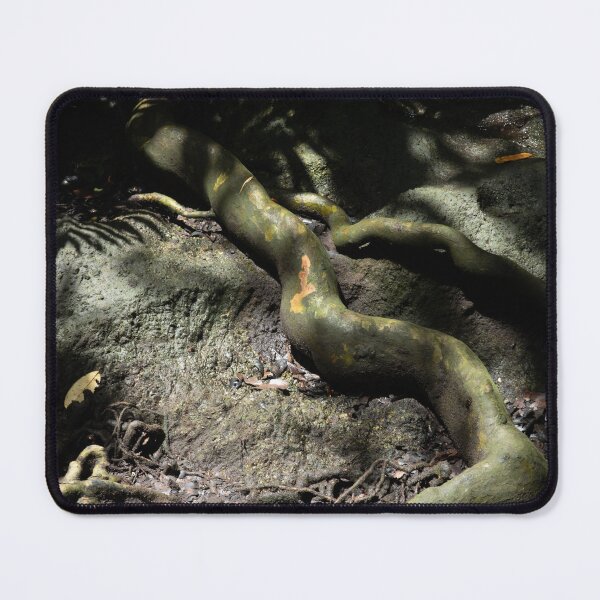 Item preview, HQ landscape photography of roots  designed and sold by chintuesday.