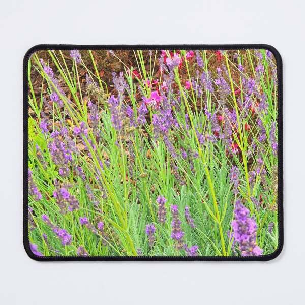 Item preview, quinta do lago gardens designed and sold by Tereza Pilar  Art.