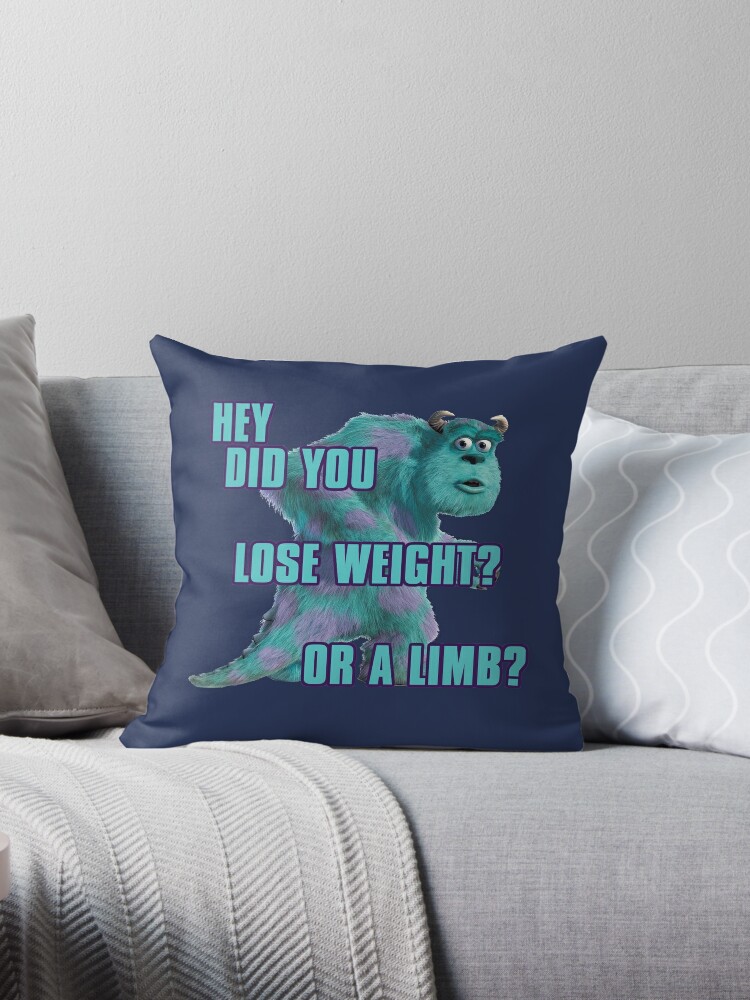 sulley pillow