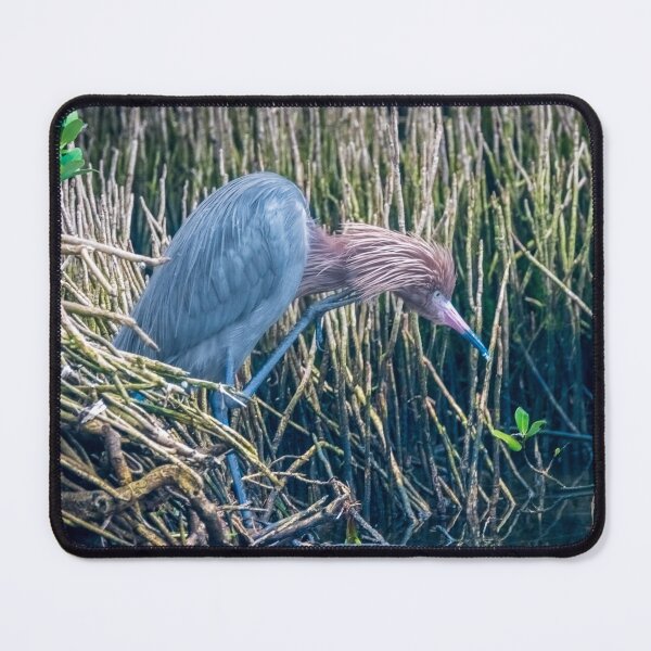 Item preview, Shaggy Headed Reddish Egret designed and sold by Debra Martz.