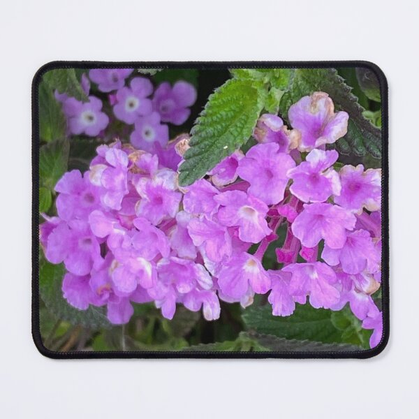Item preview, Flowers designed and sold by pinkyjainpan.