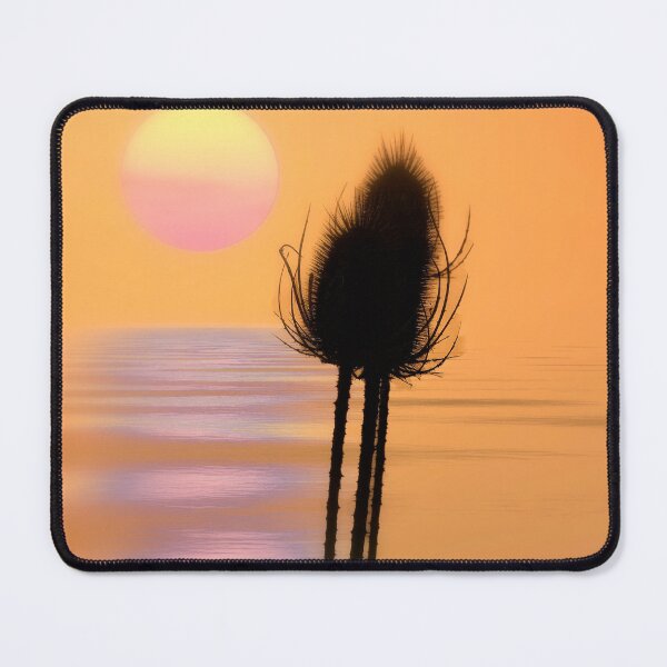 Item preview, Teasels at sunset designed and sold by RosRidleyPhoto.