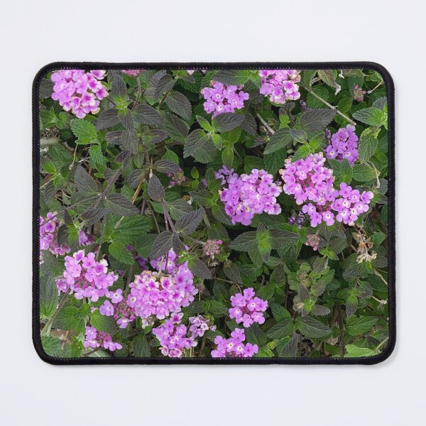 Item preview, Flowers designed and sold by pinkyjainpan.