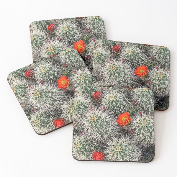 Item preview, Cactus Flowers designed and sold by pinkyjainpan.