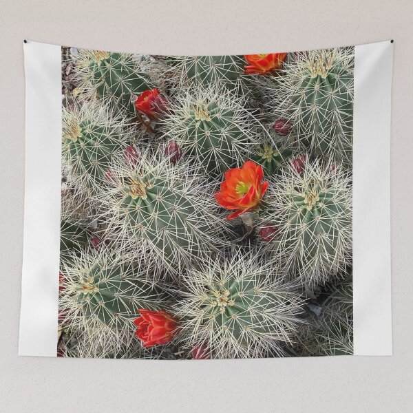 Item preview, Cactus Flowers designed and sold by pinkyjainpan.