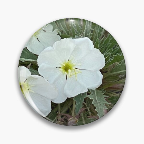 Item preview, White Flowers  designed and sold by pinkyjainpan.