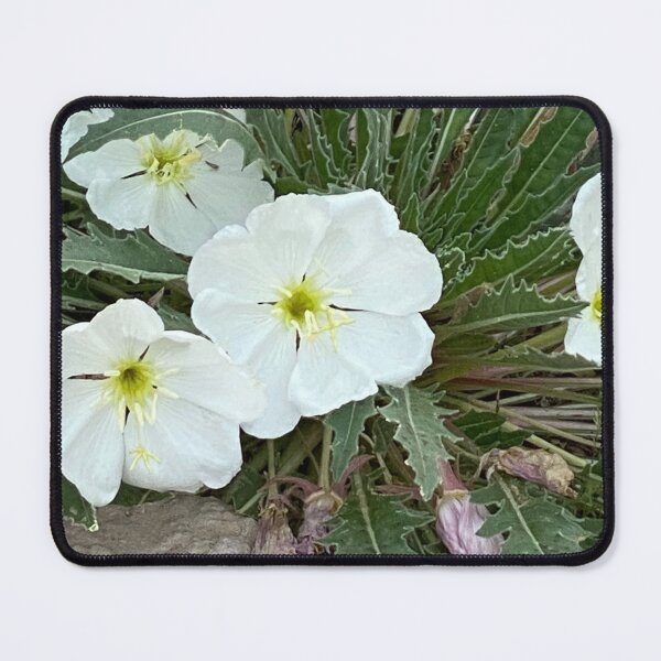 Item preview, White Flowers designed and sold by pinkyjainpan.