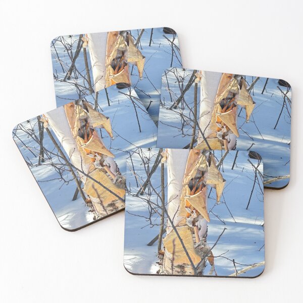 Item preview, Birch Bark Winter designed and sold by Judydcreates.