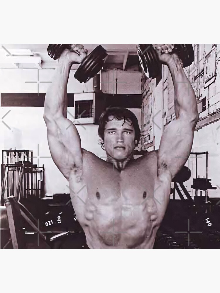 Triceps arnold sale