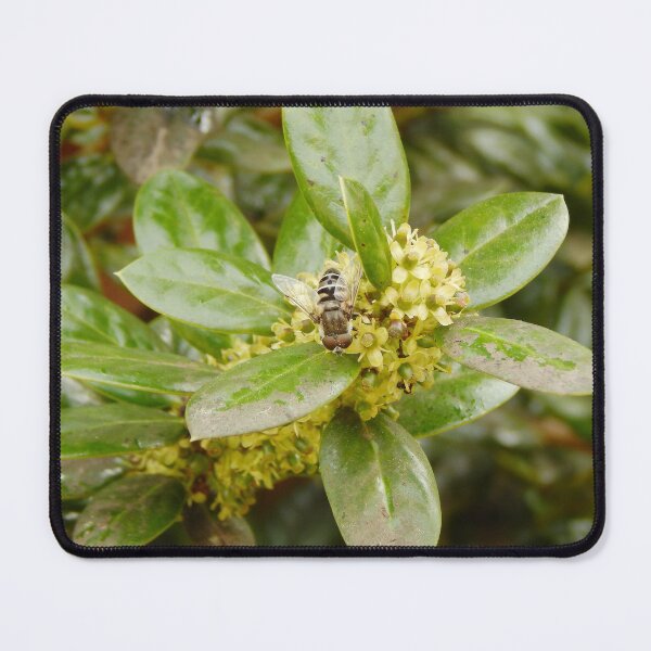 Item preview, Dronefly on Holly Flowers designed and sold by gistinker.