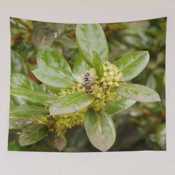 Item preview, Dronefly sobre flores de acebo designed and sold by gistinker.