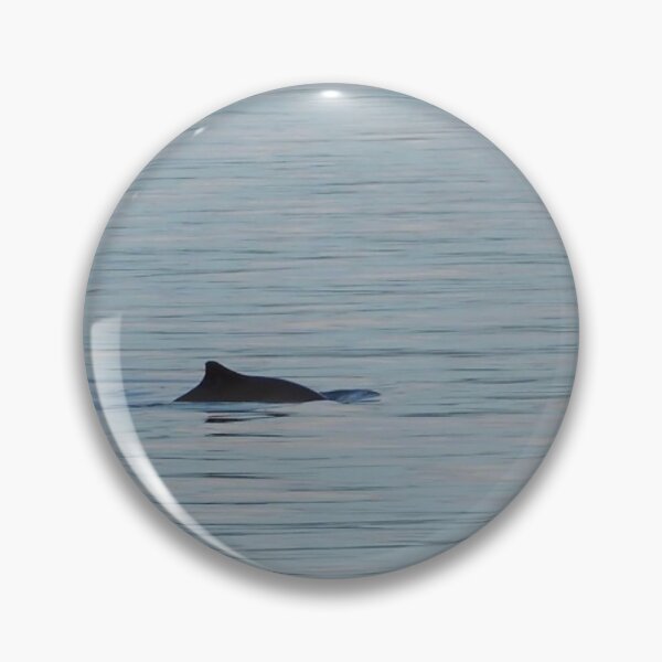 Item preview, Harbor Porpoise designed and sold by emarinelife.