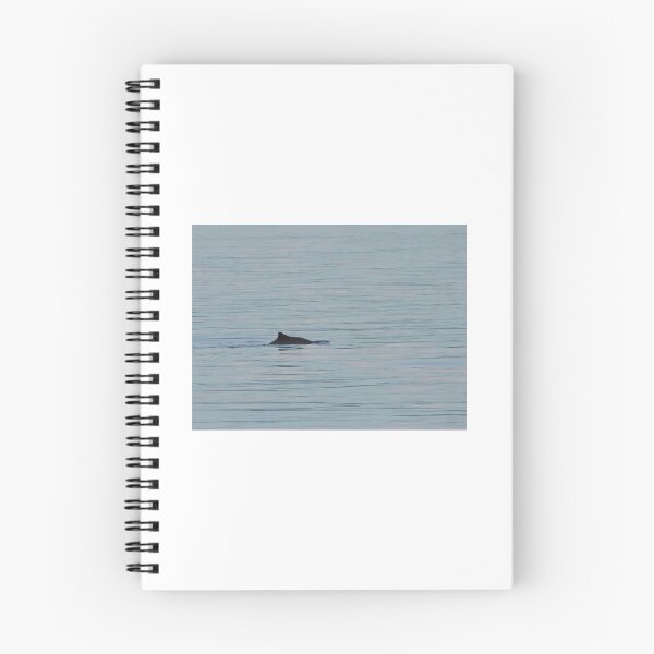 Item preview, Harbor Porpoise designed and sold by emarinelife.