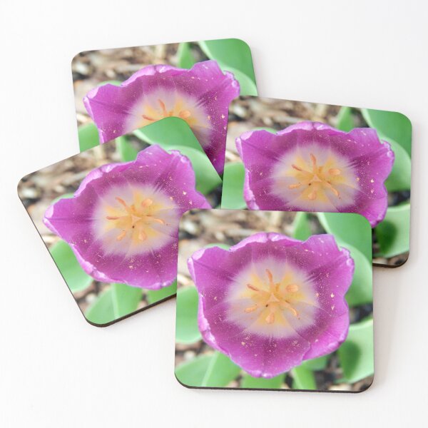 Item preview, Well Visited Pink Tulip  designed and sold by gistinker.