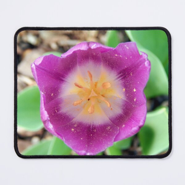 Item preview, Well Visited Pink Tulip  designed and sold by gistinker.