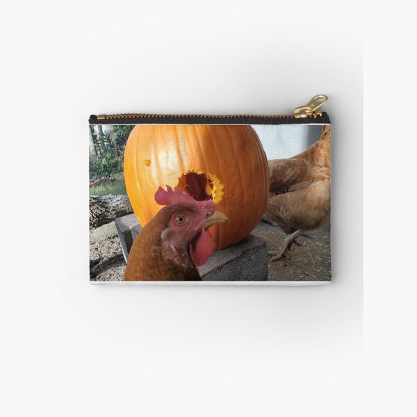 Item preview, Pumpkin treats for the chickens designed and sold by Amanda Huggins.