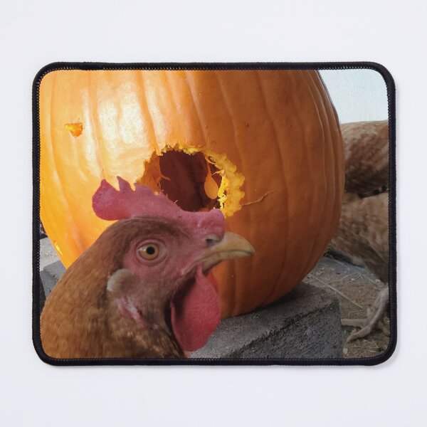 Item preview, Pumpkin treats for the chickens designed and sold by Amanda Huggins.