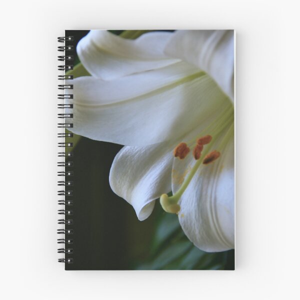 Item preview, Easter Lily designed and sold by Poete100.