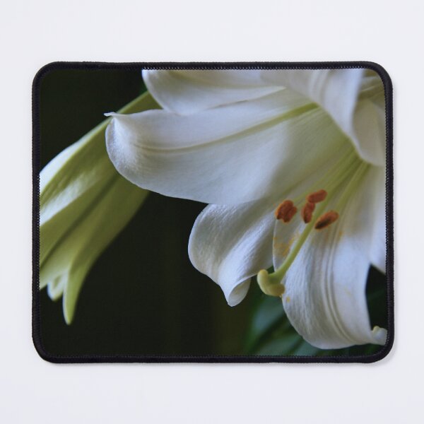 Item preview, Easter Lily designed and sold by Poete100.
