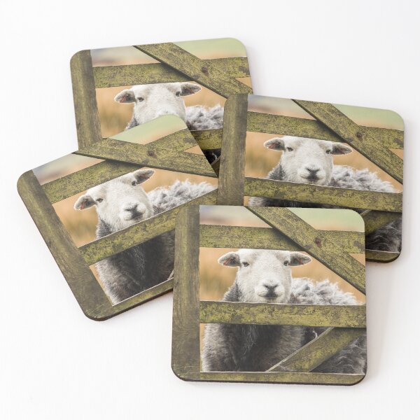 Item preview, Watching Me, Watching Ewe! designed and sold by Jane Stanley Photography.