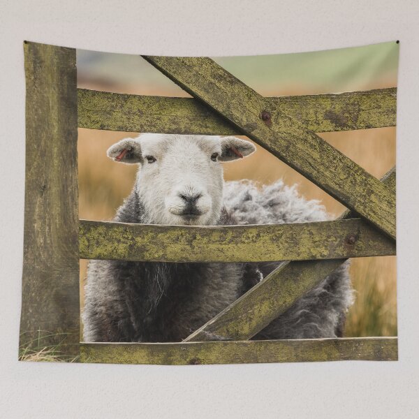 Item preview, Watching Me, Watching Ewe! designed and sold by Jane Stanley Photography.