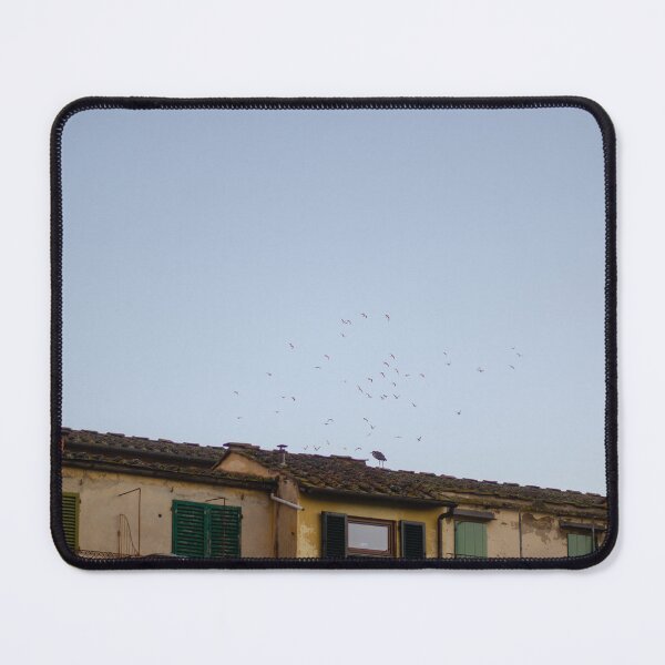 Item preview, Birds and the Ponte Vecchio designed and sold by gwen wooten.