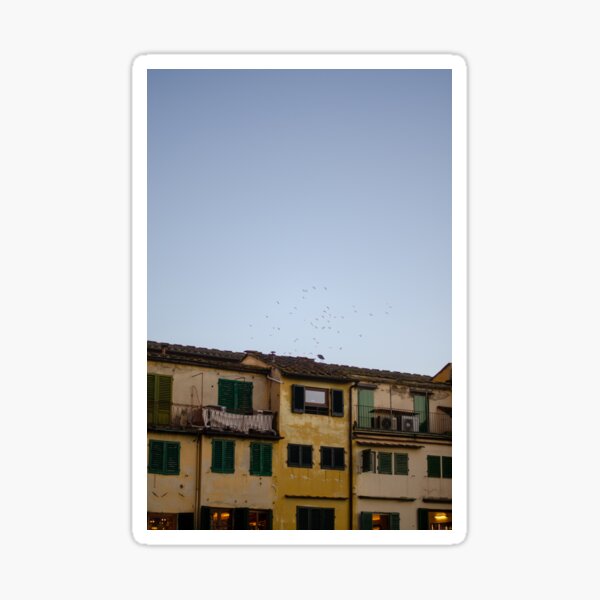 Item preview, Birds and the Ponte Vecchio designed and sold by gwen wooten.