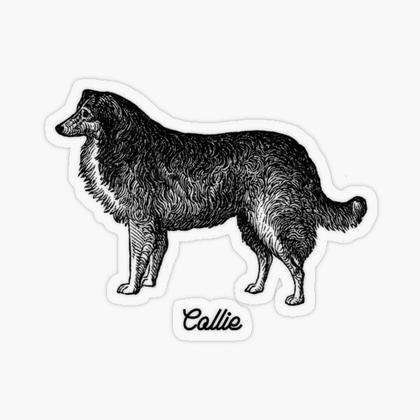 Item preview, Collie - Negro vintage designed and sold by Kappadog.