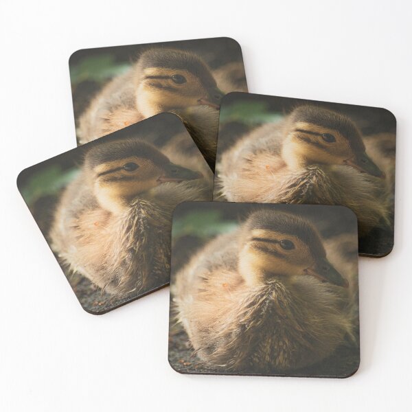 Item preview, Mandarin Duckling designed and sold by g-d-pixions.