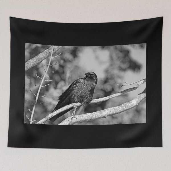 Item preview, Jet Black Black And White designed and sold by Deb Oppermann.