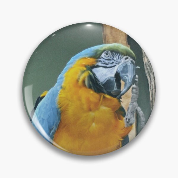 Item preview, Parrot designed and sold by AmbarVioletArt.
