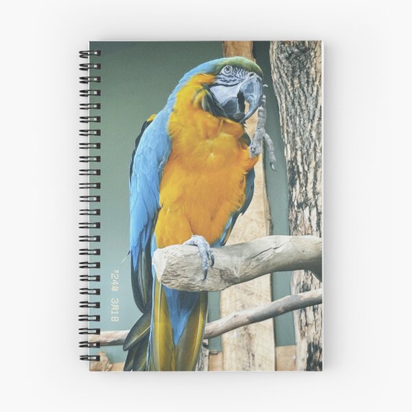 Item preview, Parrot designed and sold by AmbarVioletArt.