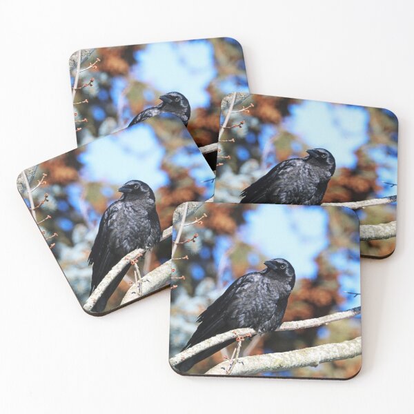 Item preview, Jet Black designed and sold by Deb Oppermann.