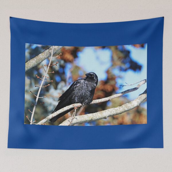 Item preview, Jet Black designed and sold by Deb Oppermann.