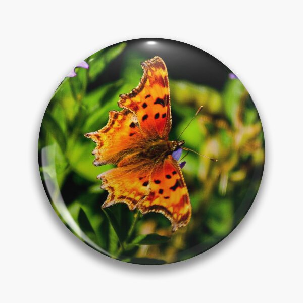 Item preview, Satyr Anglewing Butterfly On Wild Purple Daisy designed and sold by Diamondback Designs.
