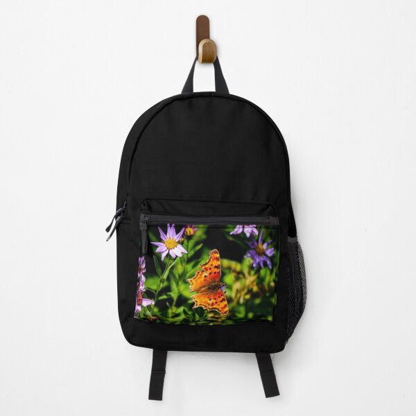 Item preview, Satyr Anglewing Butterfly On Wild Purple Daisy designed and sold by Diamondback Designs.