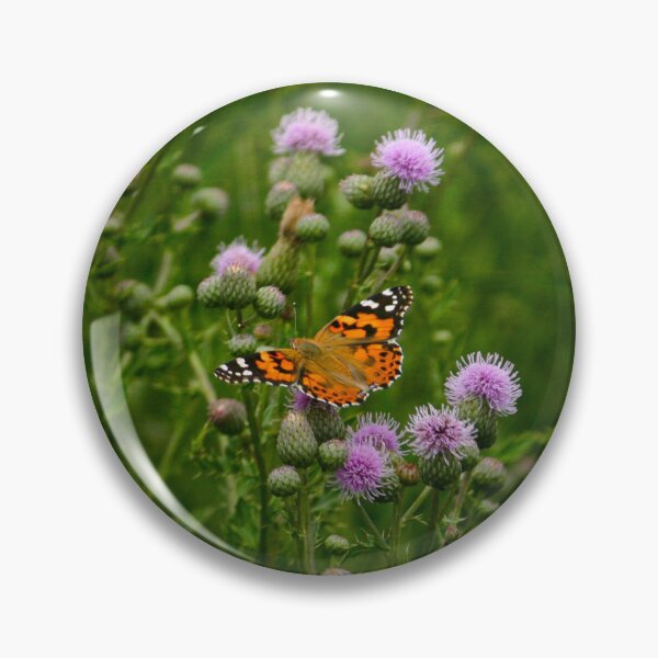 Item preview, Painted Lady Butterfly in Wild Thistle Field designed and sold by Diamondback Designs.