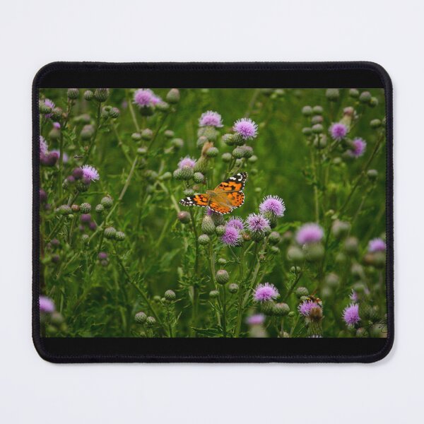 Item preview, Painted Lady Butterfly in Wild Thistle Field designed and sold by Diamondback Designs.