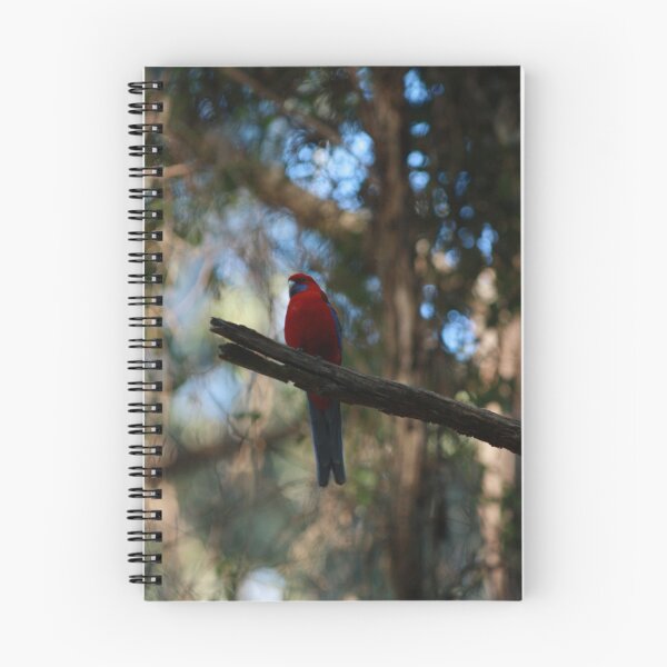 Item preview, Crimson Rosella  designed and sold by Pixxowl.