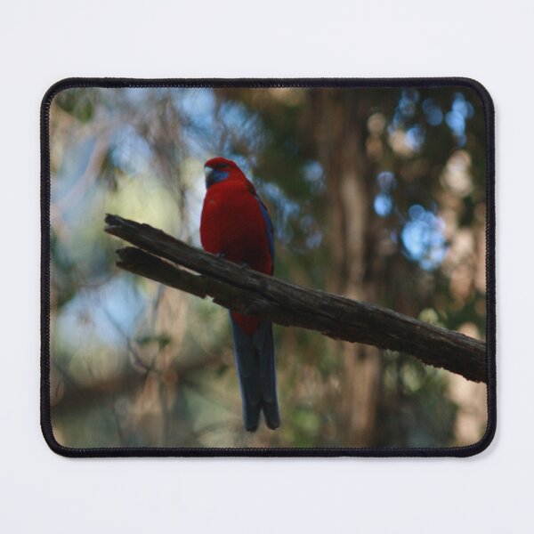 Item preview, Crimson Rosella designed and sold by Pixxowl.