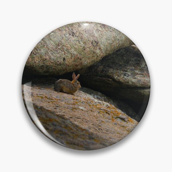 Item preview, Cottontail Rabbit; Independence Rock, Wyoming designed and sold by Diamondback Designs.