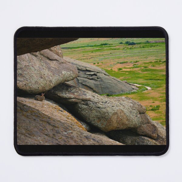 Item preview, Cottontail Rabbit; Independence Rock, Wyoming designed and sold by Diamondback Designs.