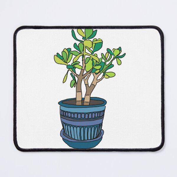 Item preview, Jade plant in multi-blue pot designed and sold by mclotts.