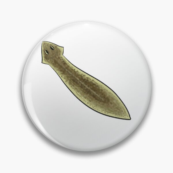 Item preview, dugesia / flatworm designed and sold by mocchiio.
