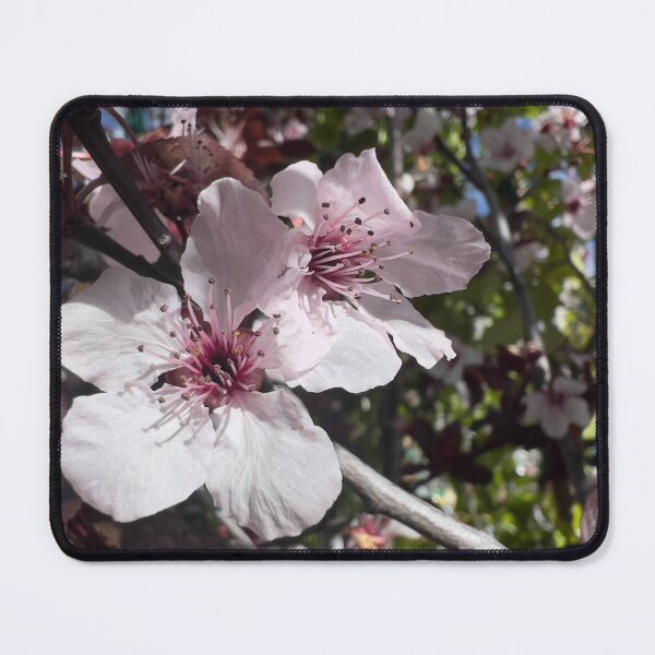 Item preview, Plum Tree Flowers designed and sold by Betsy Phillips.