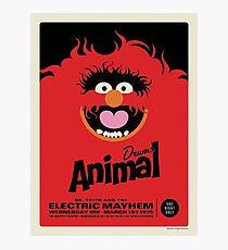 The Muppets - Animal Photographic Print