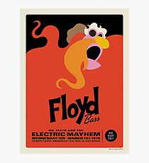 The Muppets - Floyd Photographic Print