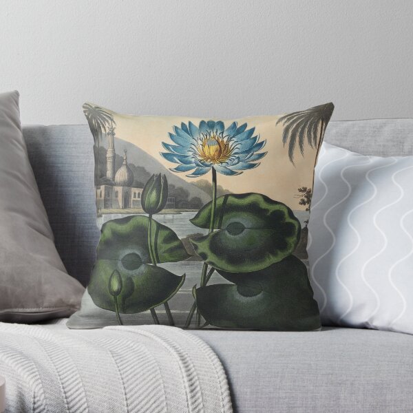 Botanical illustration: Blue Egyptian water lily by Robert Thornton – State Library Victoria Throw Pillow