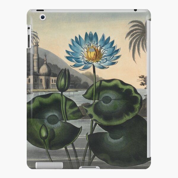 Botanical illustration: Blue Egyptian water lily by Robert Thornton – State Library Victoria iPad Snap Case
